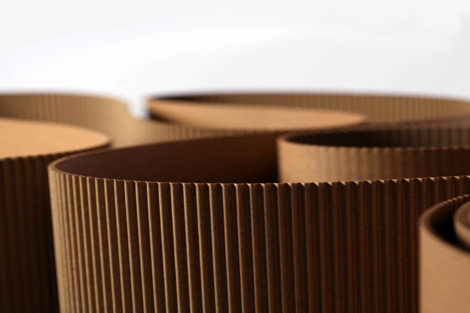 Corrugated Carton
